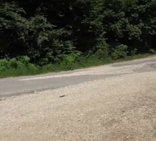 Wanderparkplatz Hohe Warte