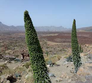 Nationalpark --> Teide