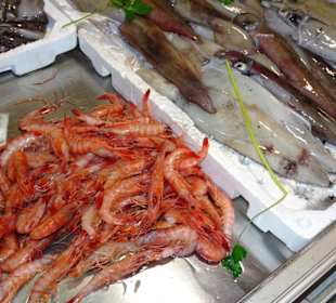 Rundgang zwischen den Auslagen des Mercato Civico