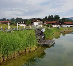 Liegefläche am Naturschwimmteich