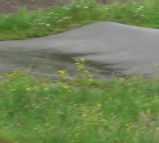 Wanderung rund um den Stadtsee