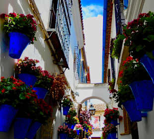 Calleja de las Flores