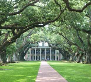 Oak Alley Eichenallee mit Herrenhaus