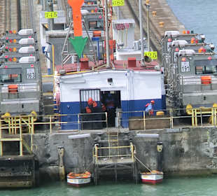 Die Mulis warten auf Ihren Einsatz