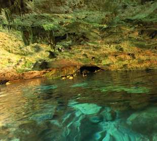 Nahaufnahme - 1 von 3 Cenoten