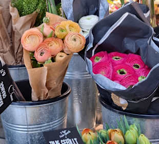 Blume 2000 Bahnhofspassagen 