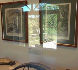 Natur- und Jagdmuseum