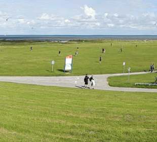 Strand mit Wiese und Dünen