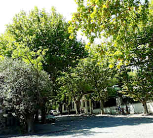 Colonia del Sacramento