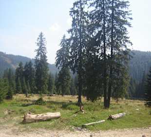 Parcul Natural Apuseni