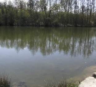 Sport- und Freizeitpark Markwasen