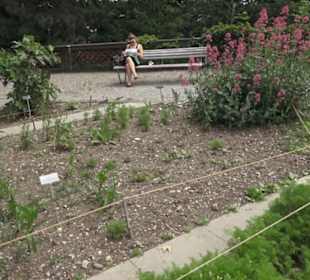 Alter botanischer Garten