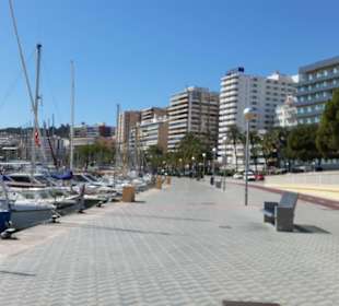 Hafen von Palma de Mallorca im März 17