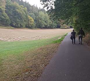 Wandern Rothenberg
