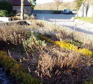 Der Burggarten Kräuter