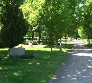 Friedhof Gönningen