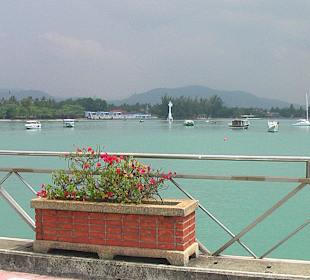 Blumendecko entlang des Stegs