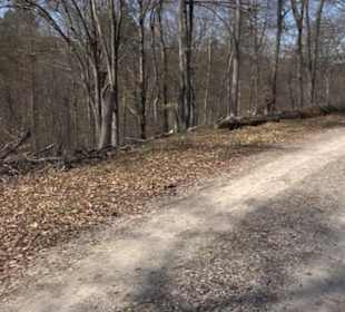 Geologischer Lehrpfad Kirnbachtal