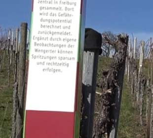 Weinerlebnisweg