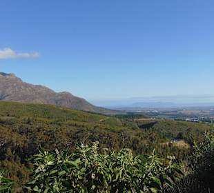Weingut Tokara in Stellenbosch