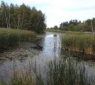Rundgang durch den Wasserpark