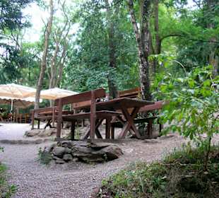 Bierkeller im Wald, sehr beliebt