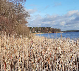 Wandern Bad Saarow
