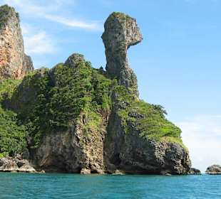 Unsere weltbekannte Chicken Island in der Nähe.