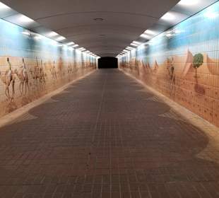 Stadtrundfahrt Abu Dhabi	