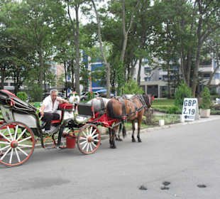 Eingangsbereich Strassenseite