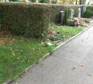 Hauptfriedhof Friedrichshafen