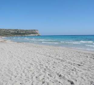 Am langen Sandstrand von Son Bou