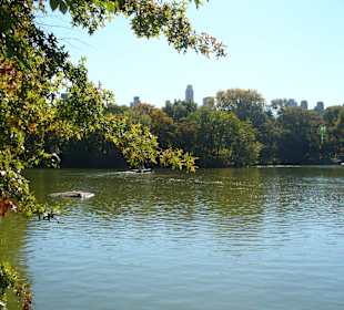 Im Central Park