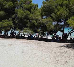 Platja de Muro
