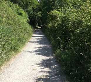 Früchtetrauf - Wurmlinger Kapellenwegle