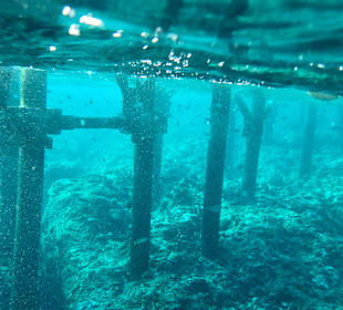 Schnorcheln Marsa Alam