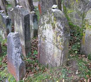 Kirkut w Kazimierzu Dolnym