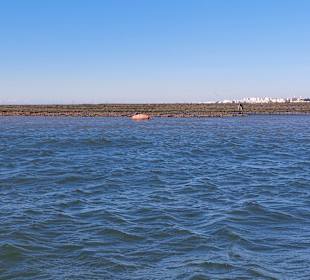 Bootstour Ria Formosa