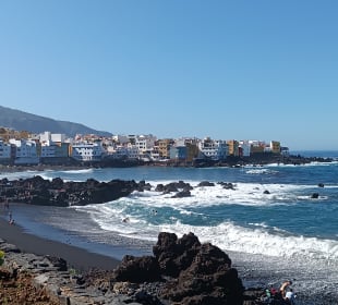 Playa Jardín