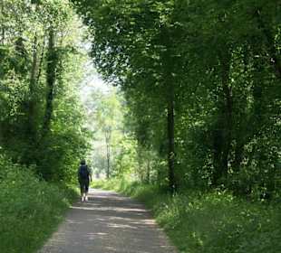 Auf romantischen Wegen ...
