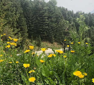 Wandern St. Jakob im Defereggental