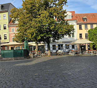 Große Freiflächen