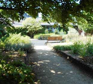 Im Garten des Naturkundemuseum Rouen