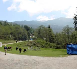 Restaurant Bunagu Tourist Cafeteria