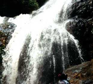 Wasserfall im Regenwald