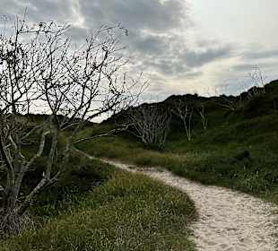 Wandern Spiekeroog