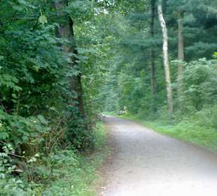 Wege am Wasser und durch den Wald