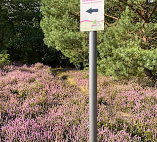 Wandern Bad Bevensen