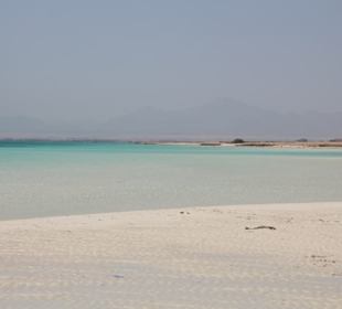 Sandbank