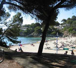 Badebucht Font de sa cala